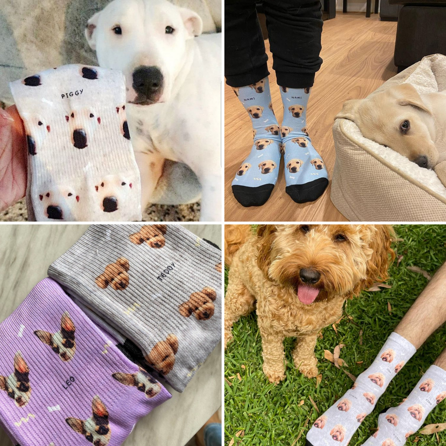 Custom Pet socks