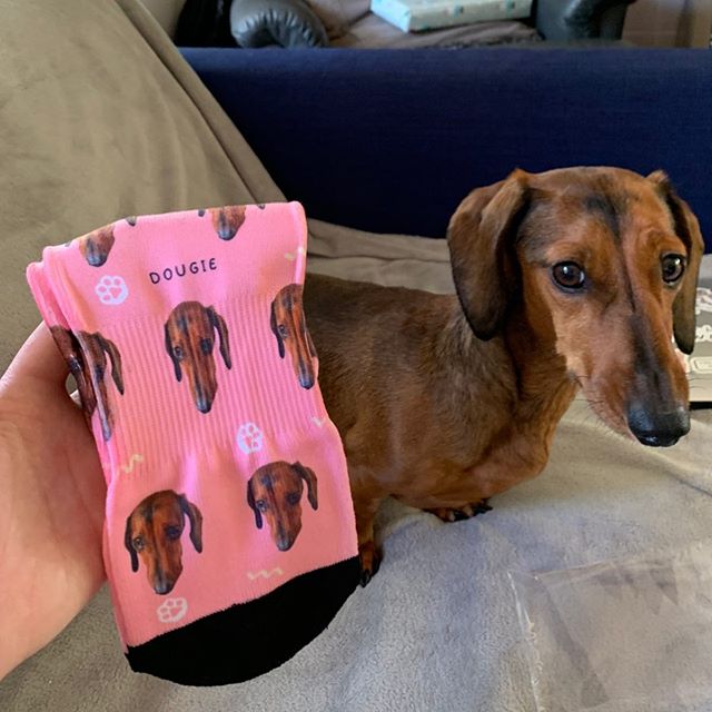 Custom Pet socks (paws)