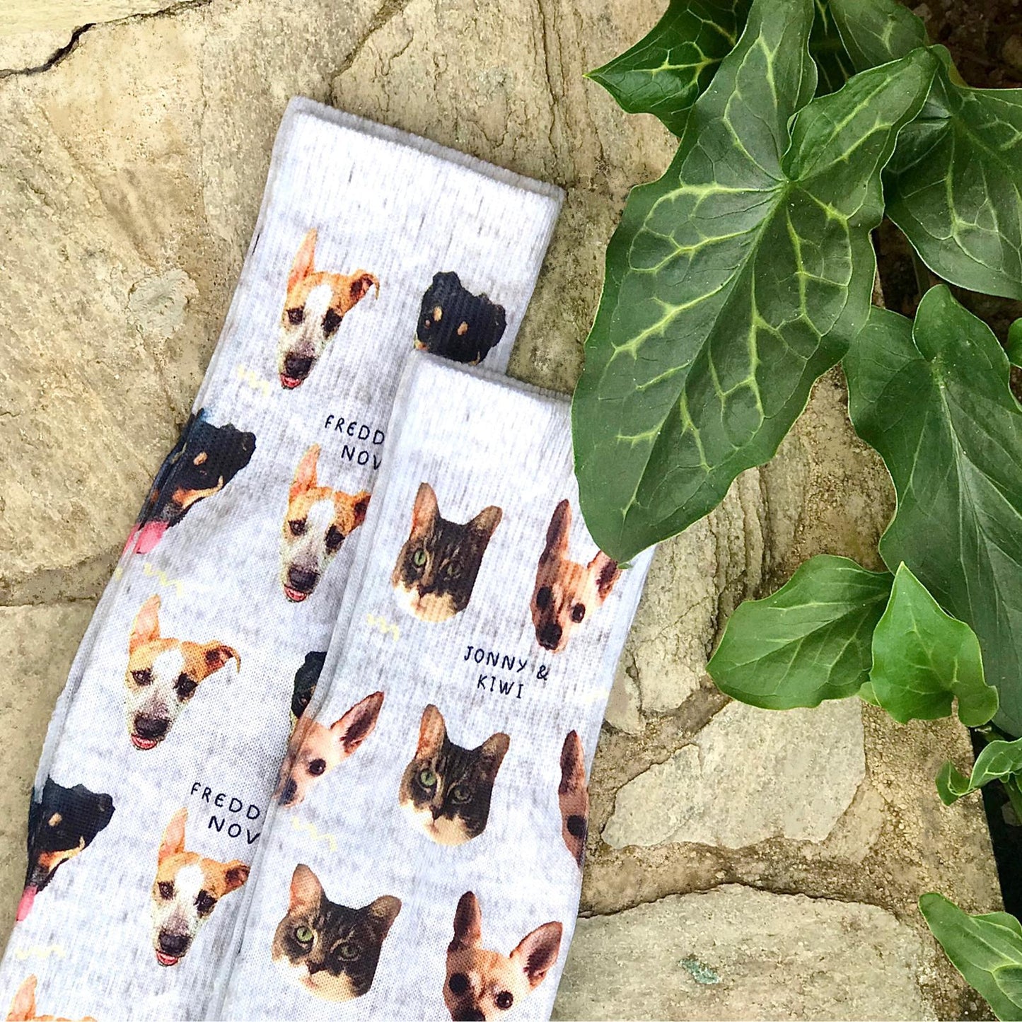 Custom pet socks (2 faces)