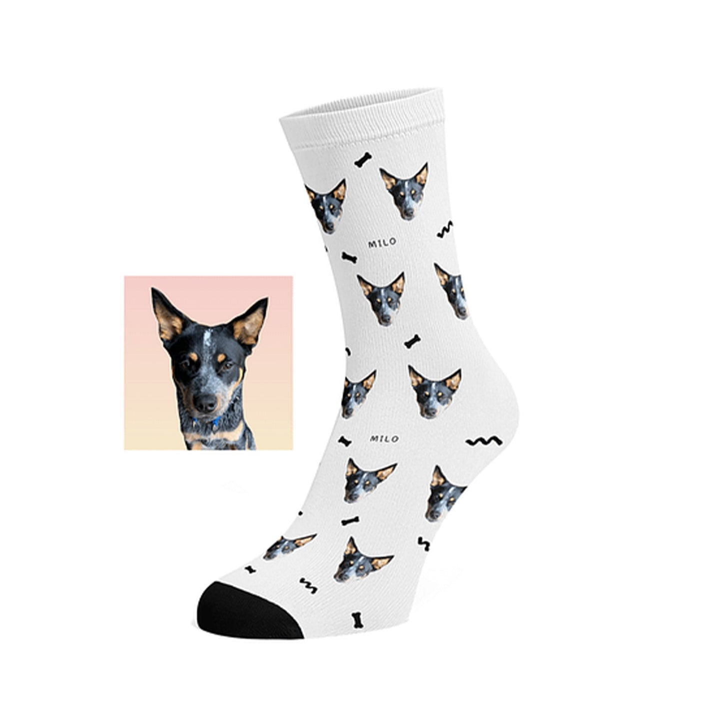 Custom Pet socks